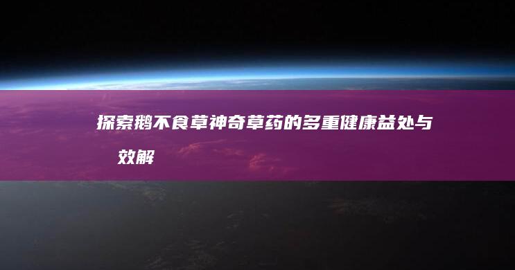 探索鹅不食草：神奇草药的多重健康益处与功效解析